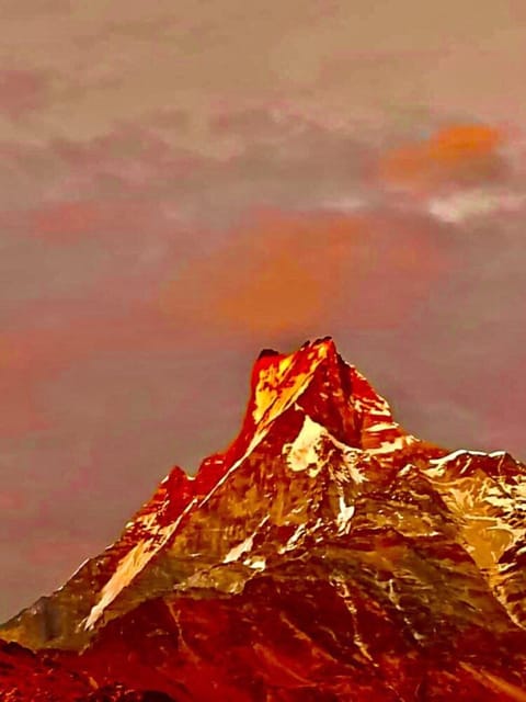 Pokhara: Mardi Himal Trek with 1 Night in a Forest Camp photo 5