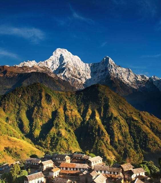 Annapurna I Expedition 2025/2026 photo 4
