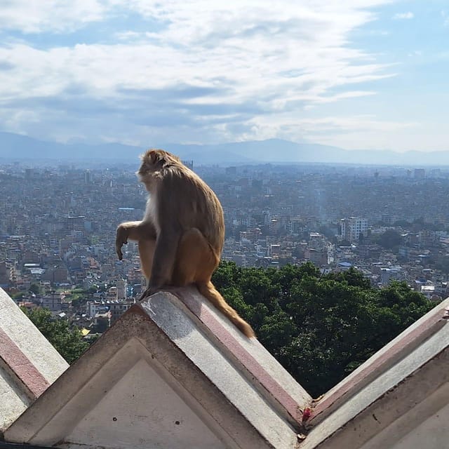 Kathmandu: Inner City Tour with 3 UNESCO World Heritage … photo 4