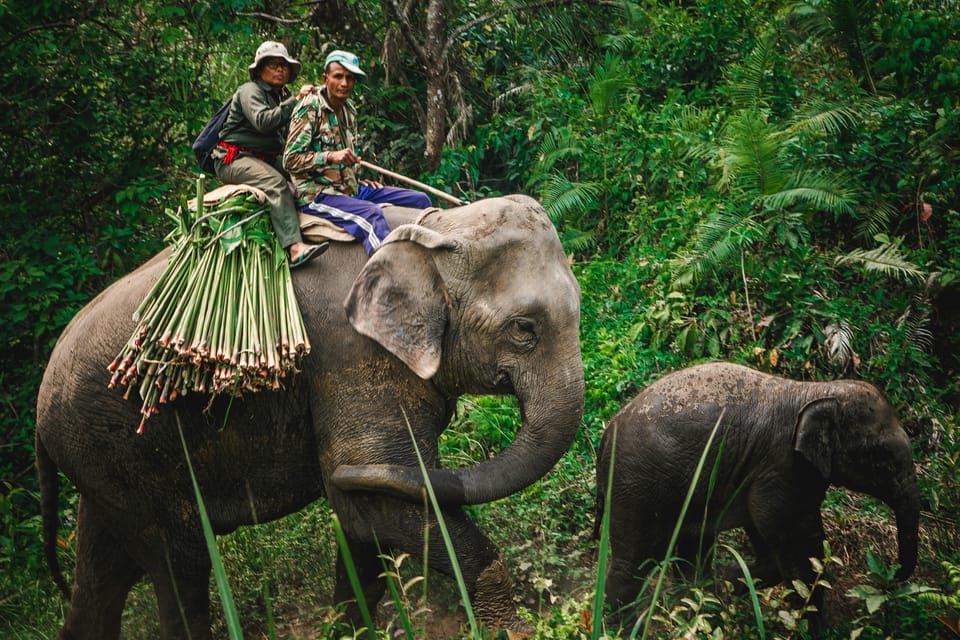 Nepal and Bhutan: 14-Day Tour with Flights photo 3