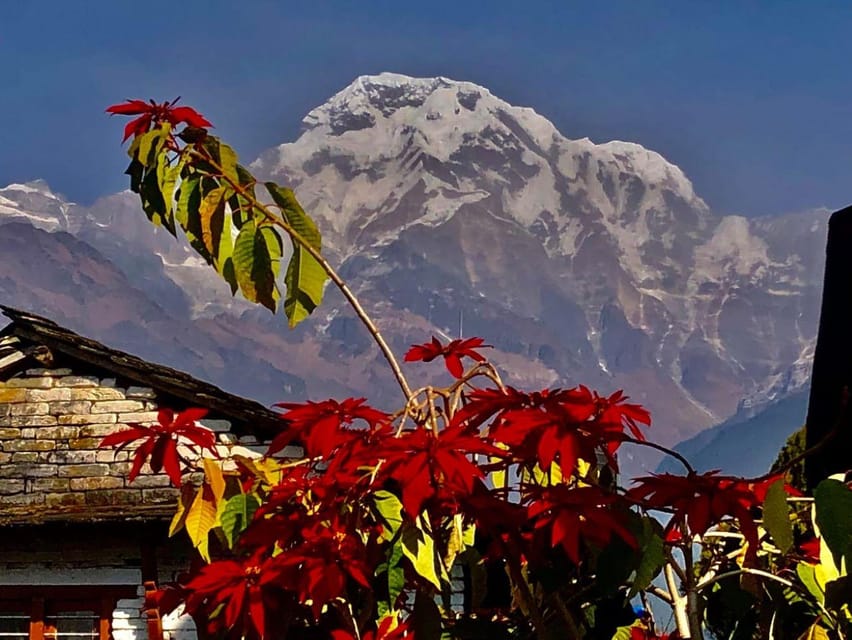 Kathmandu: Rapid Ghorepani Poon Hill Trek with Guide photo 2