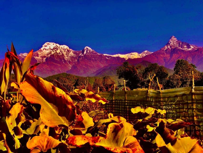 Kathmandu: Rapid Ghorepani Poon Hill Trek with Guide photo 3