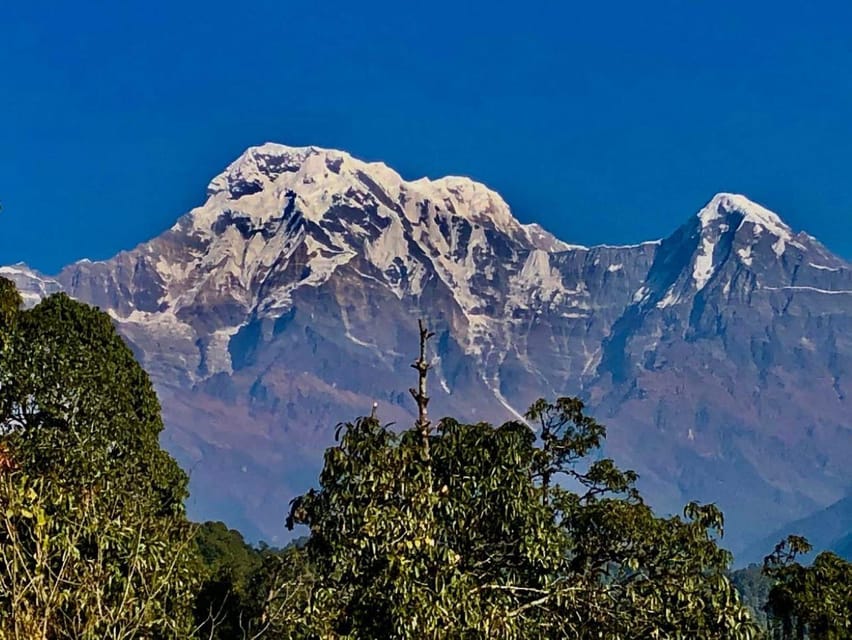 Kathmandu: Rapid Ghorepani Poon Hill Trek with Guide photo 4
