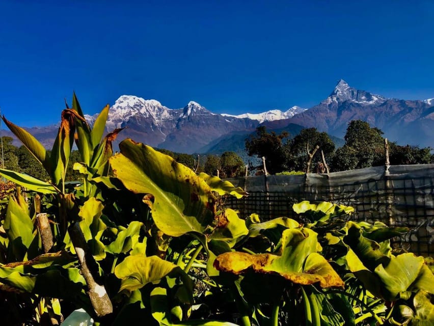 Kathmandu: Rapid Ghorepani Poon Hill Trek with Guide photo 5