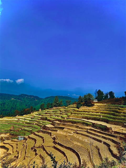 Kathmandu to Nagarkot Hike: Village Trails & Himalayan Views photo 2