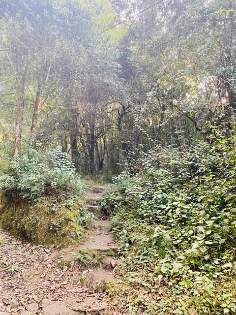 Kathmandu to Nagarkot Hike: Village Trails & Himalayan Views photo 5