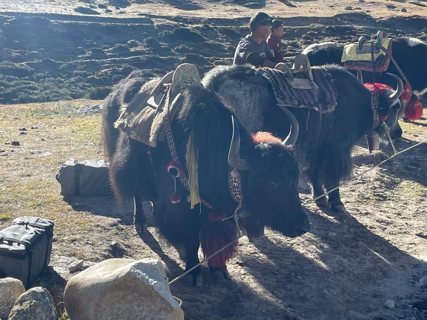 Everest Base Camp Trek - 6N/7D photo 4