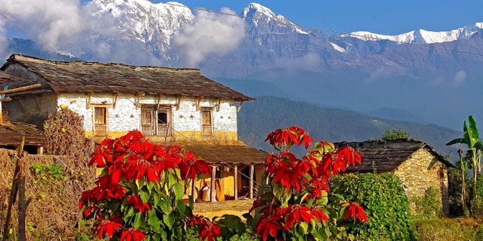 Pokhara: Day Hiking to Australian Base Camp with Lunch photo 4