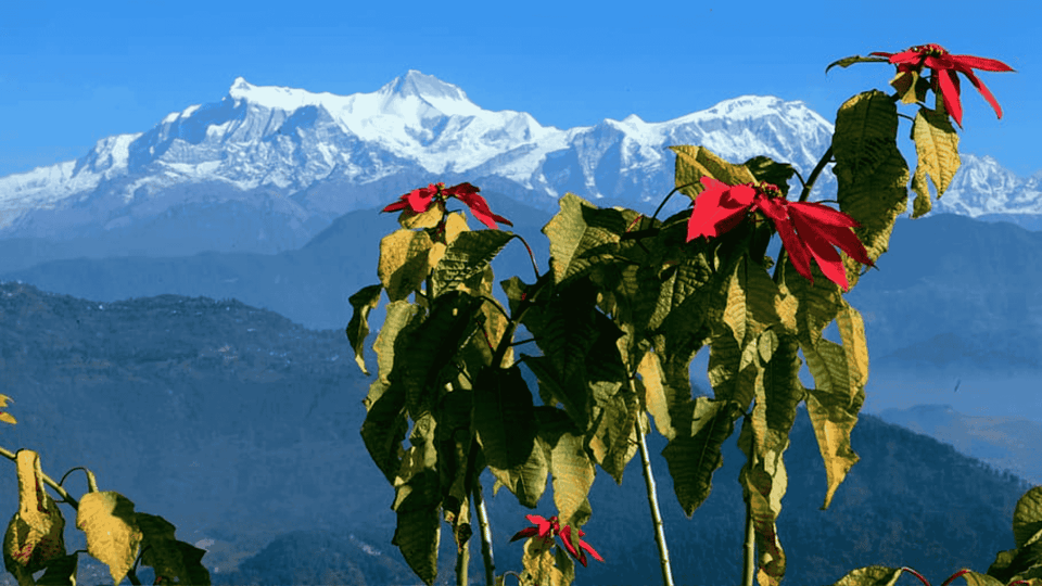 Pokhara: 3-Day Hike Tour To Annapurna Himalayas Foothill photo 3