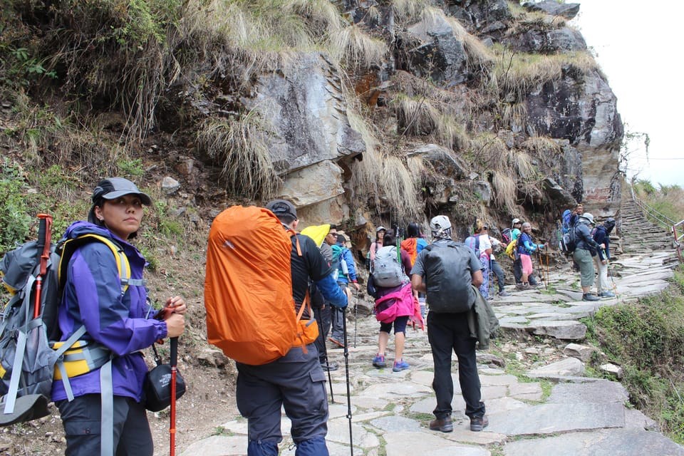 from Pokhara: 7-Day Annapurna Base Camp Trek photo 2