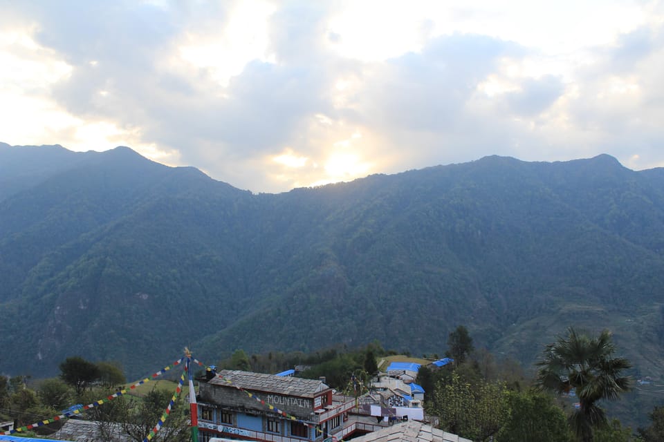 from Pokhara: 7-Day Annapurna Base Camp Trek photo 3