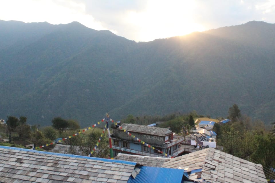 from Pokhara: 7-Day Annapurna Base Camp Trek photo 4