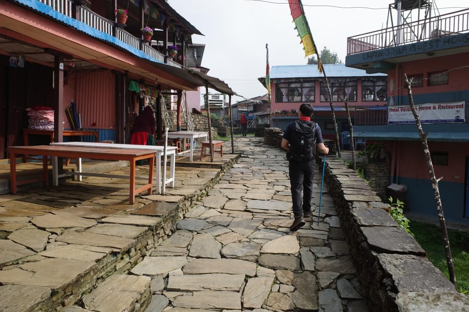 Pokhara: 4-Day Mardi Himal Base Camp Trek with Transfers photo 4