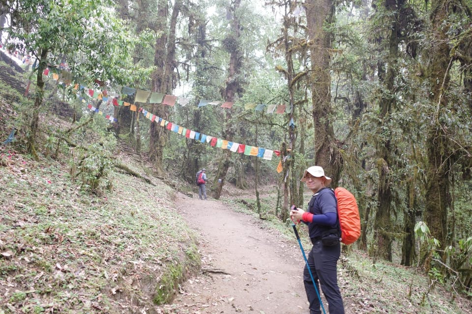 Pokhara: 4-Day Mardi Himal Base Camp Trek with Transfers photo 5
