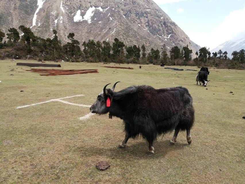 From Kathmandu: 13-Day Manaslu Circuit Trek photo 4