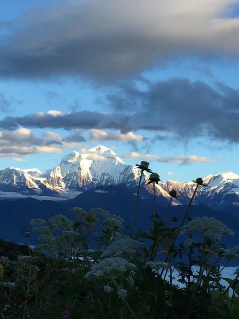 Pokhara: 3 days Trek to Poon hill photo 4
