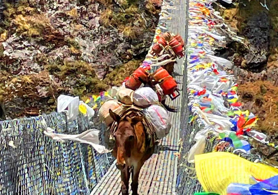 5-Day Everest Tour with Breakfast at Everest View Hotel photo 5