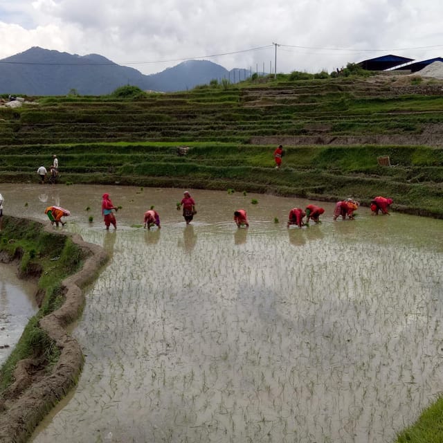 Kathmandu:7 Unesco tours, hikings, sunrise & more -All in 1 photo 3