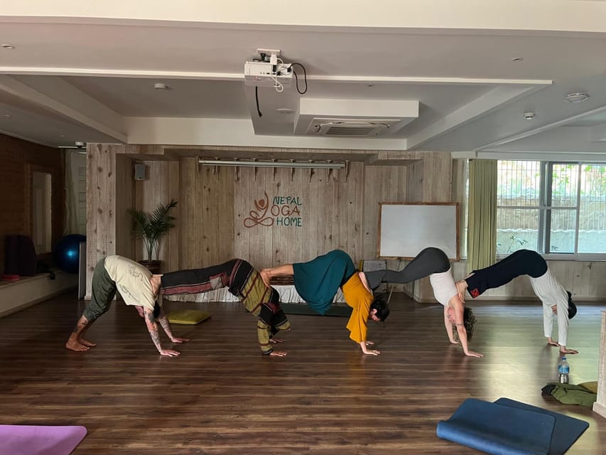 Kathmandu: 100-Hour Yoga Teacher Training Course photo 3