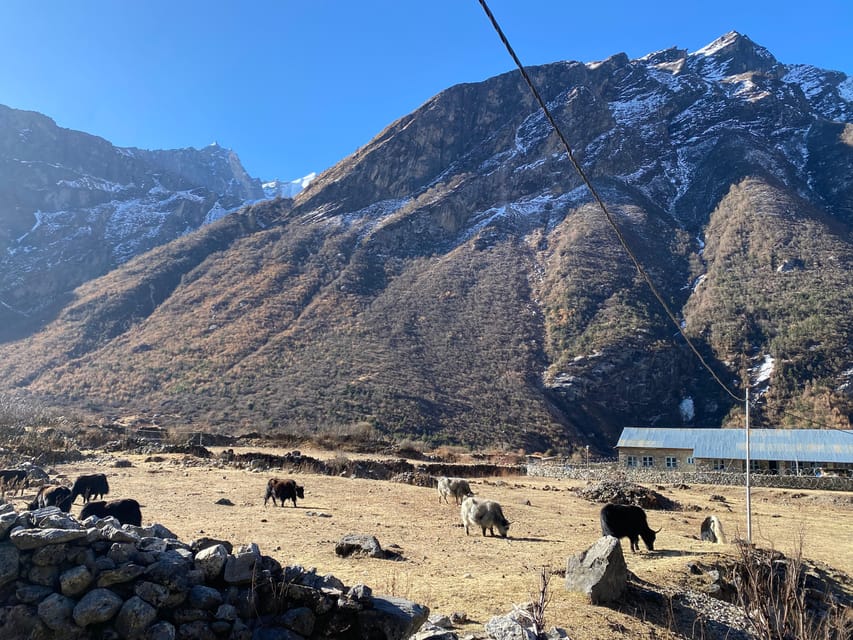 From Kathmandu: 10-Day Langtang Valley Trek photo 2