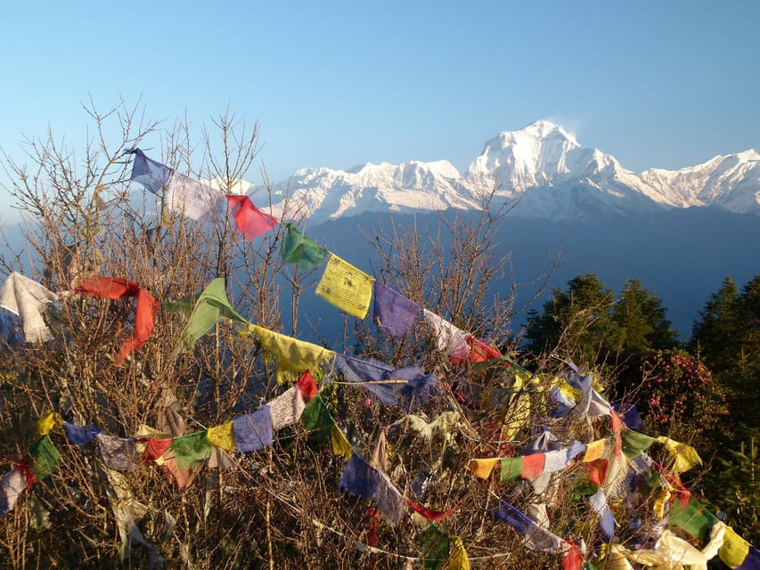 Pokhara: 3 Days Ghorepani poon hill trek photo 3