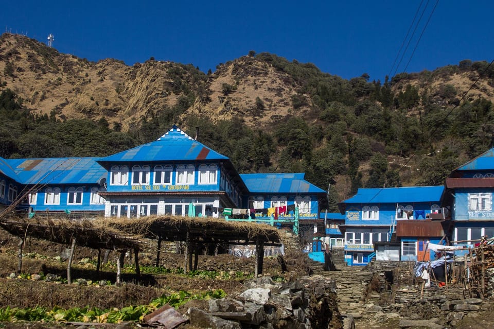 Pokhara: 3 Days Ghorepani poon hill trek photo 4
