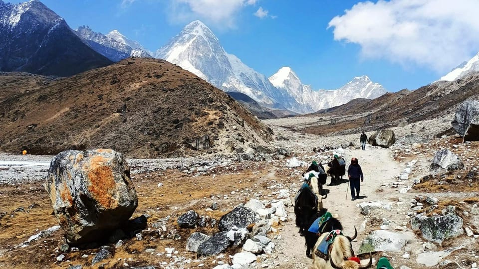 Guided: Everest Base Camp Trek photo 5