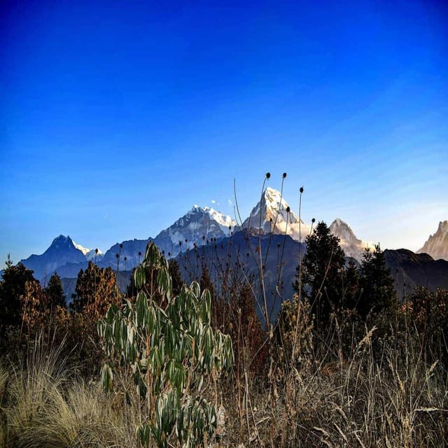 Pokhara: 2 days guided Poon Hill Trek photo 5