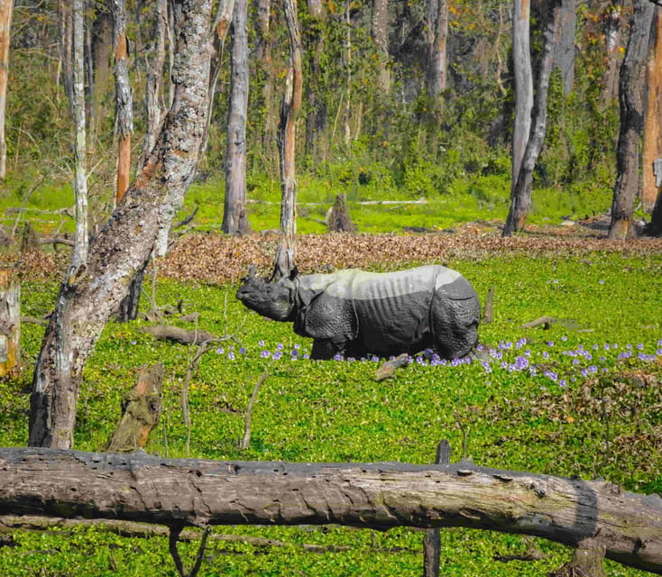 Nepal: 10-Day Yoga and Meditation Retreat Tour photo 2