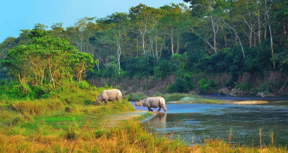 From Kathmandu: 7-Day Chitwan Safari & Pokhara Himalaya Tour photo 2