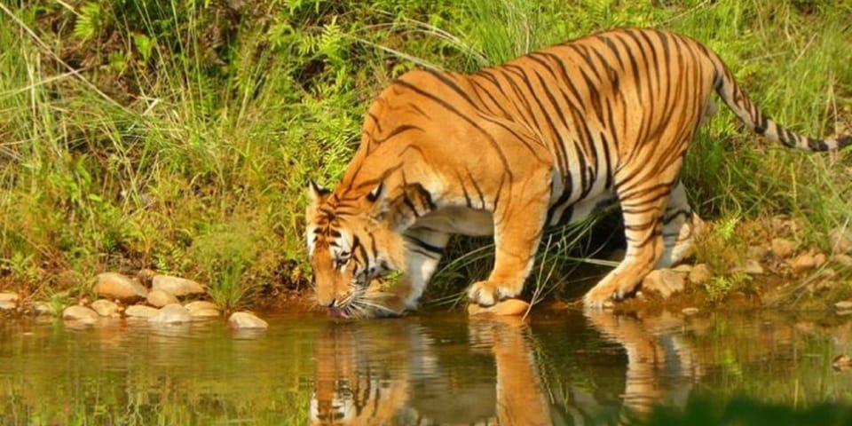From Kathmandu: 7-Day Chitwan Safari & Pokhara Himalaya Tour photo 4