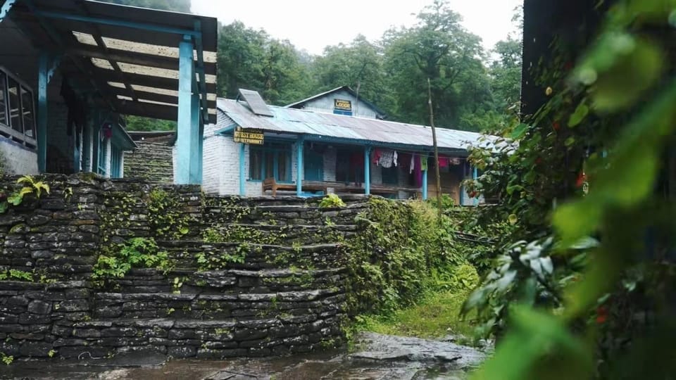 Kathmandu: Annapurna Base Camp Trek with Transfers photo 5