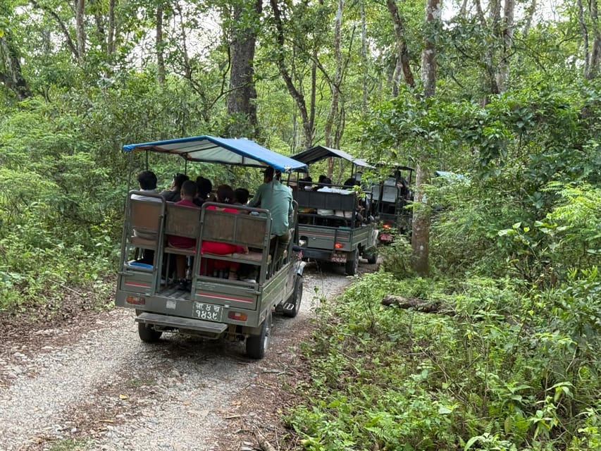 Chitwan Jungle Safari - 2 nights / 3 days photo 2
