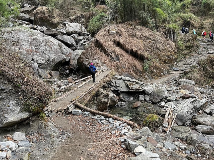 From Pokhara: 7-Day Annapurna Base Camp Trek photo 2