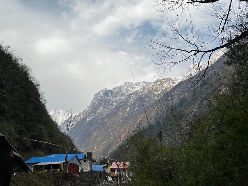 From Pokhara: 7-Day Annapurna Base Camp Trek photo 3
