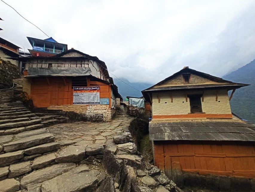 From Pokhara: 4-Day Poon Hill Trek with Transfers photo 2