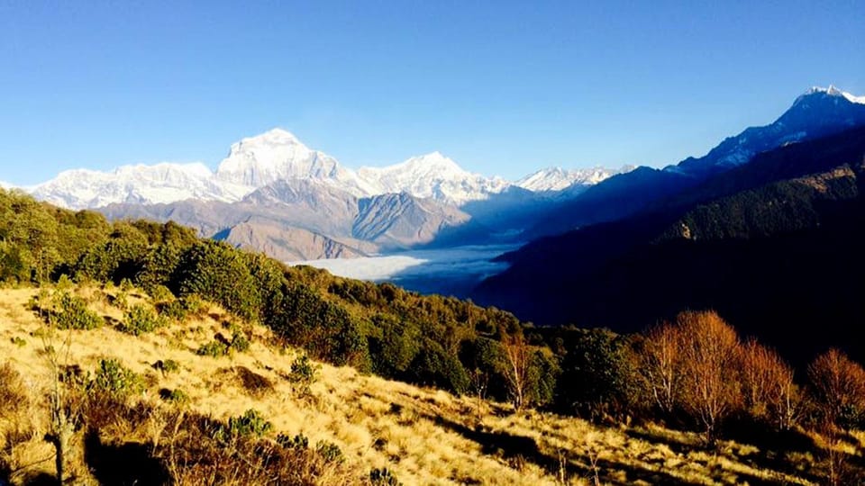 Annapurna Trek with Throng-la Pass photo 2