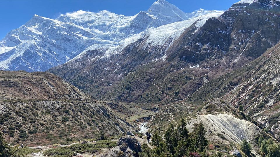 Annapurna Trek with Throng-la Pass photo 5