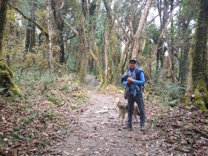 4-Day Mulde ,Poon Hill Trek Itinerary (Children-Friendly) photo 3