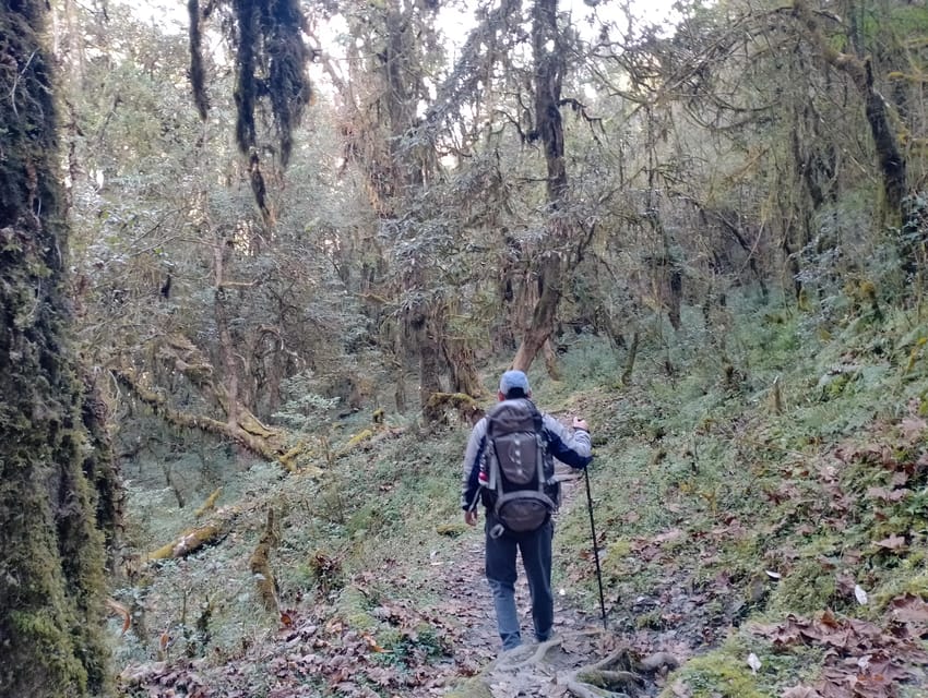4-Day Mulde ,Poon Hill Trek Itinerary (Children-Friendly) photo 4