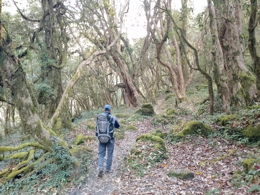 4-Day Mulde ,Poon Hill Trek Itinerary (Children-Friendly) photo 5