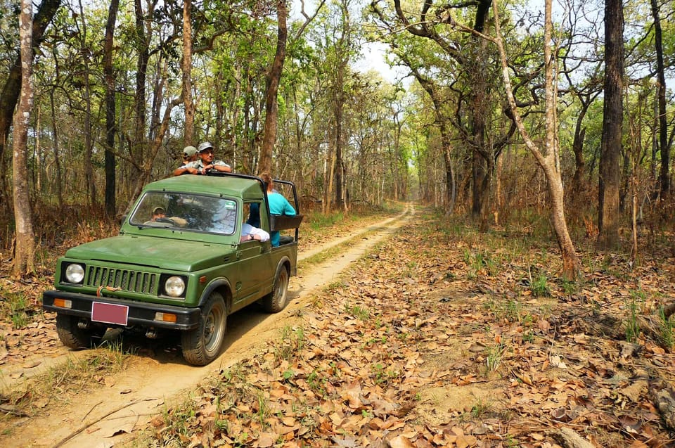 From Kathmandu/Pokhara: 2, 3, or 4-Day Chitwan Jungle Safari photo 2