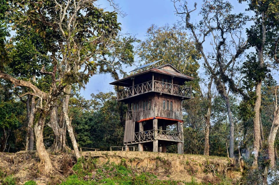 From Kathmandu/Pokhara: 2, 3, or 4-Day Chitwan Jungle Safari photo 4
