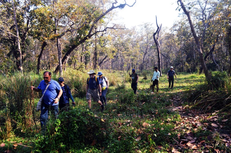 From Kathmandu/Pokhara: 2, 3, or 4-Day Chitwan Jungle Safari photo 5