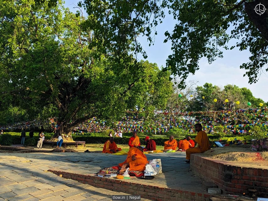 1-Week Buddhist Monastery Retreat in Lumbini photo 4