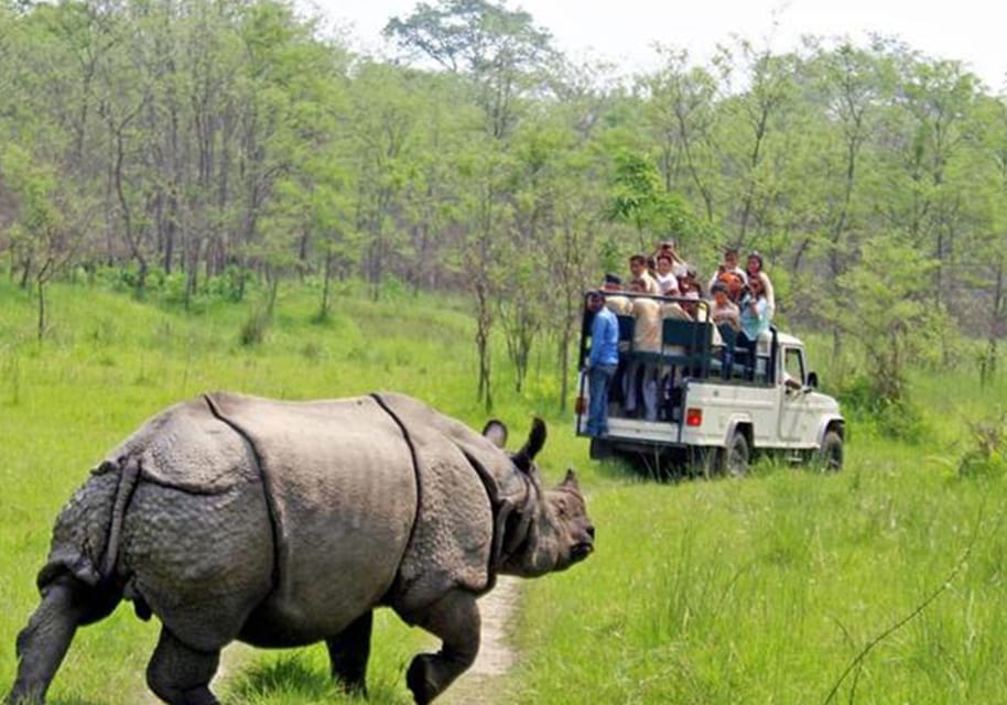 Chitwan: 1-Night Jungle Safari with Transfers from Kathmandu photo 4