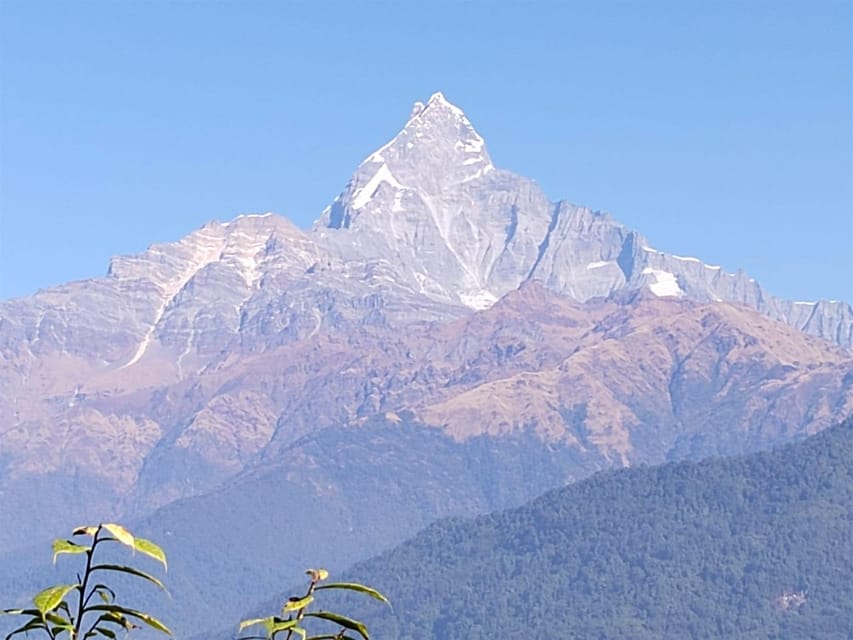 From Pokhara: Australian Camp and Dhampus Hiking Tour photo 2