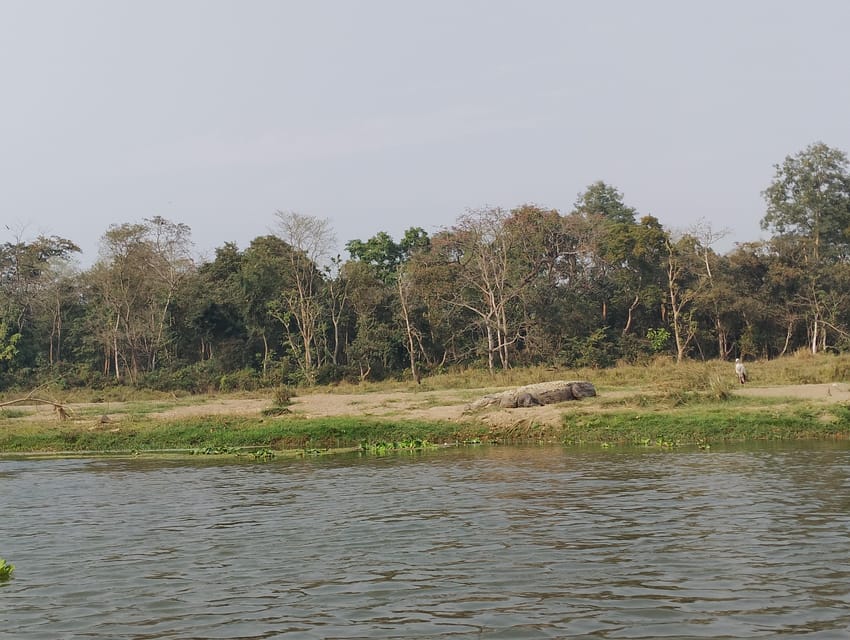 From Kathmandu or Pokhara 3 day Chitwan Tour with Rafting photo 3