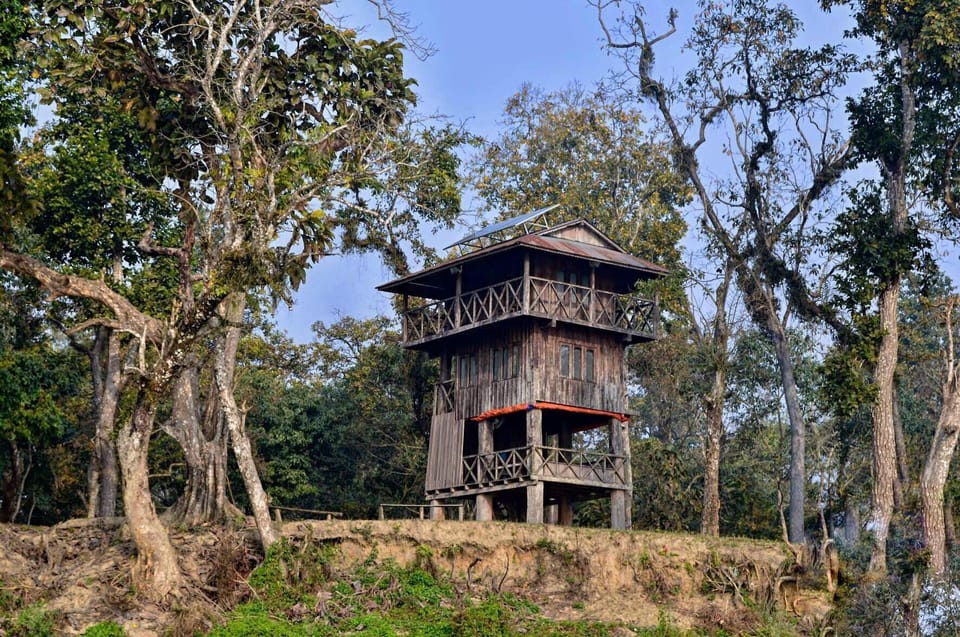 From Kathmandu: 1 Night 2-Day Chitwan Jungle Tour photo 2
