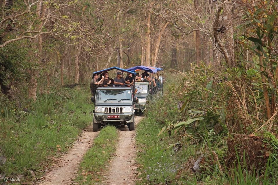 From Kathmandu: 1 Night 2-Day Chitwan Jungle Tour photo 5